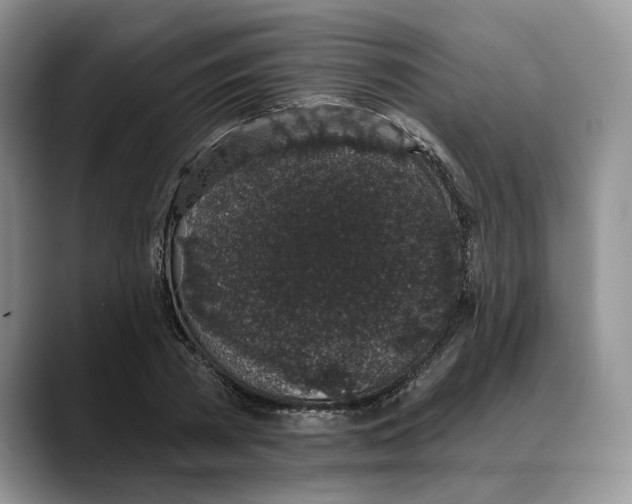 X0000088020785200706081440