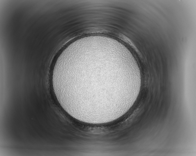 X0000088020786200706081440