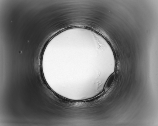 X0000088020787200706081440