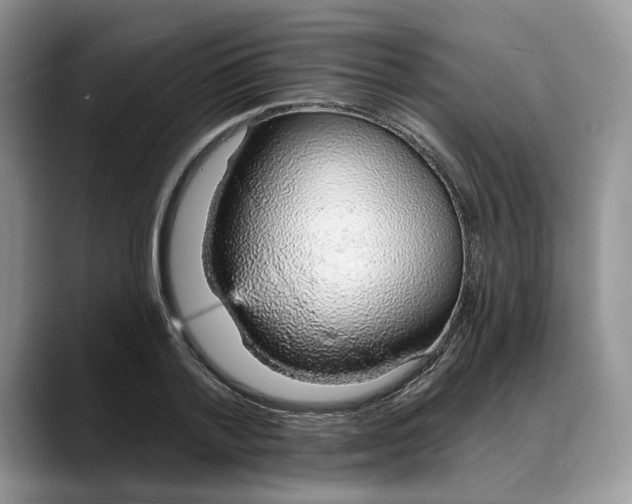X0000088020788200706081440