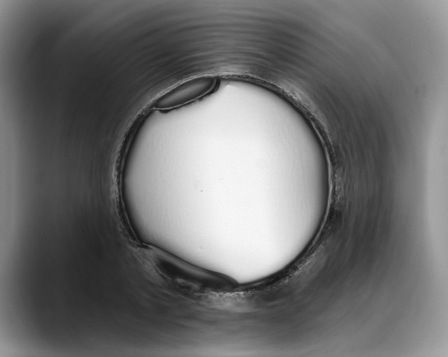 X0000088020789200706081440