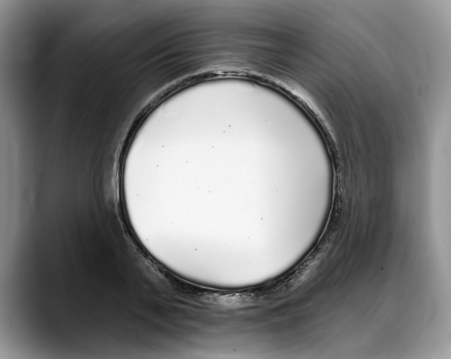 X0000088020791200706081440