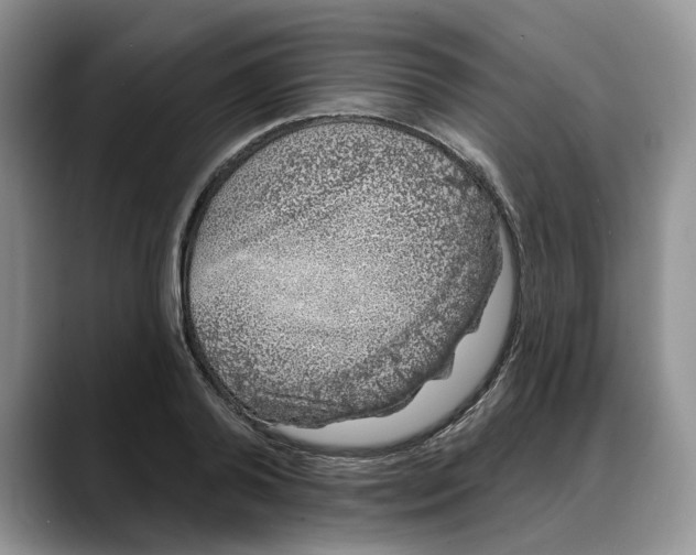 X0000088020792200706081440