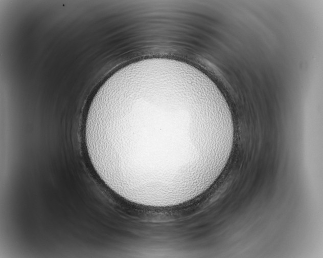 X0000088020794200706081440