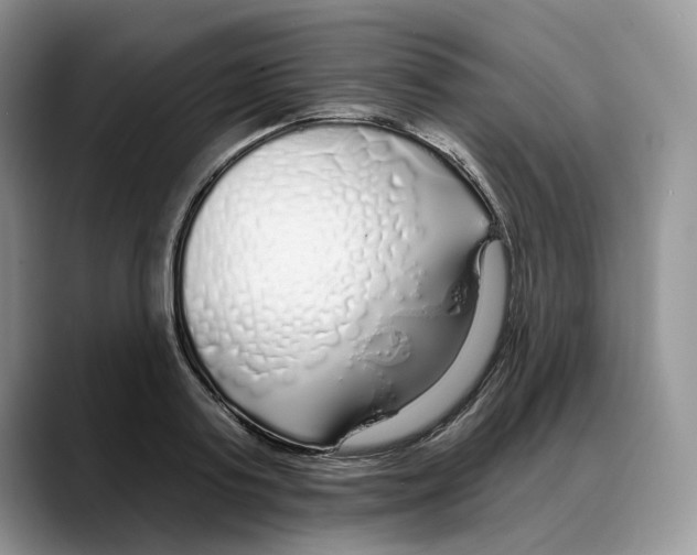 X0000088020795200706081440