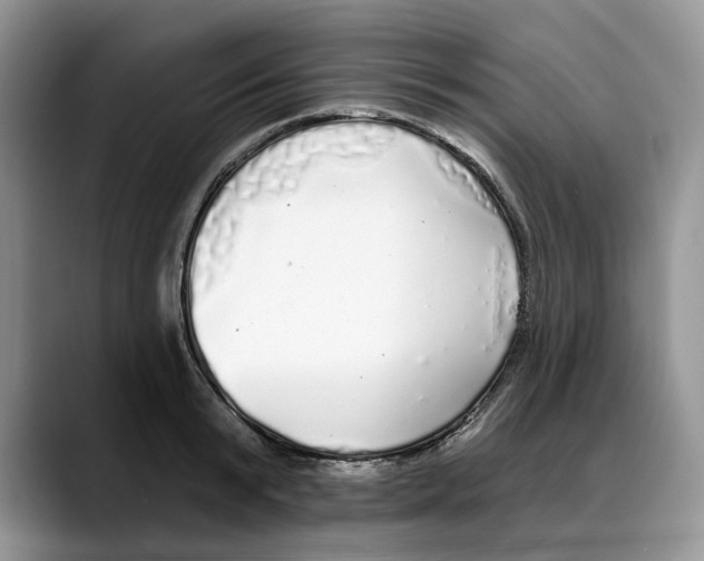 X0000088020799200706081440