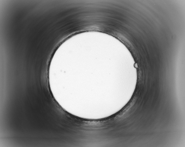 X0000088020800200706081440