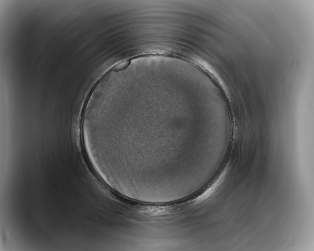 X0000088020802200706081440