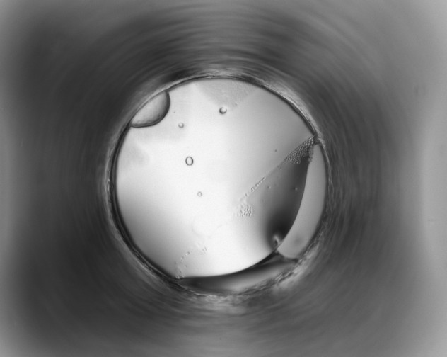 X0000088020803200706081440