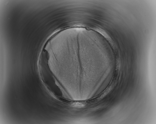 X0000088020806200706081440