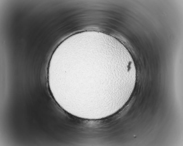 X0000088020808200706081440