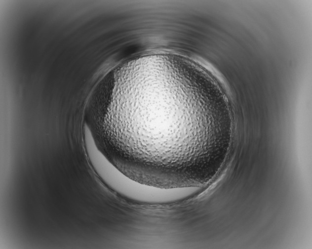 X0000088020809200706081440