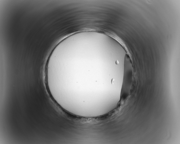 X0000088020811200706081440