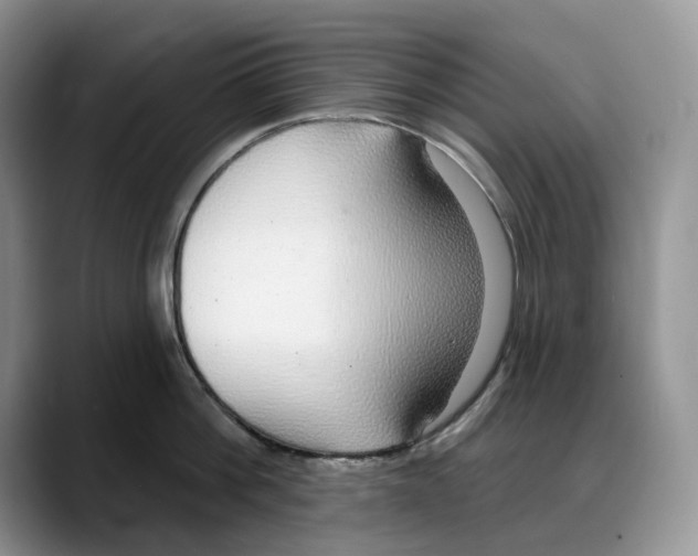 X0000088020812200706081440