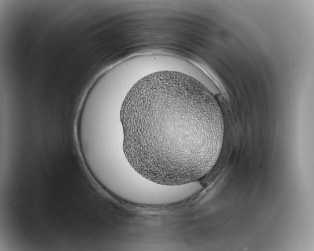 X0000088020813200706081440