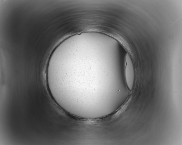X0000088020814200706081440