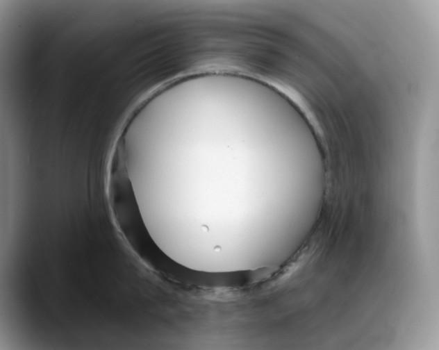 X0000088020815200706081440