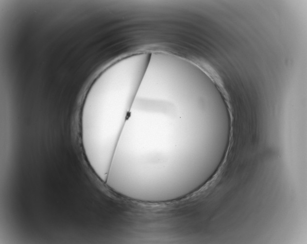 X0000088020816200706081440