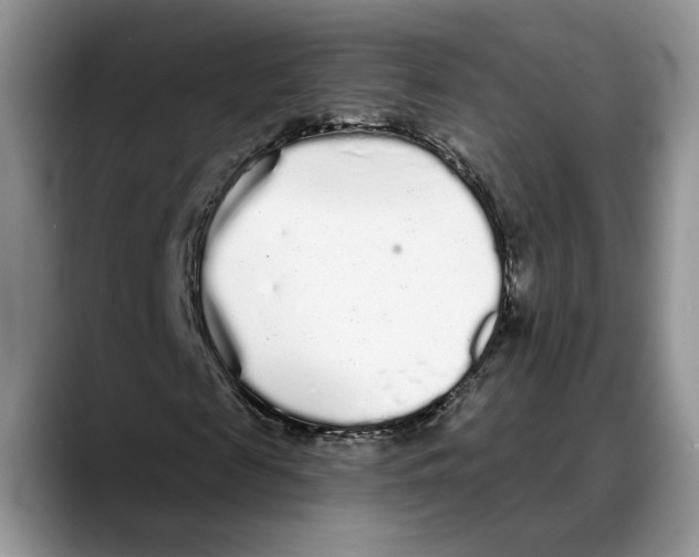 X0000088020817200706081439