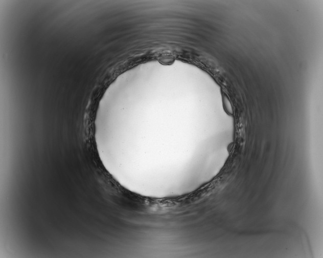 X0000088020819200706081439