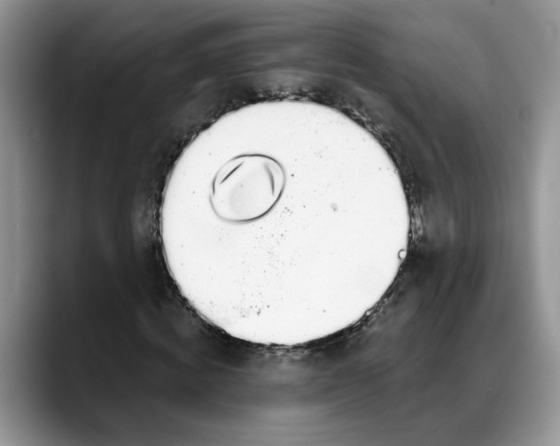 X0000088020820200706081439