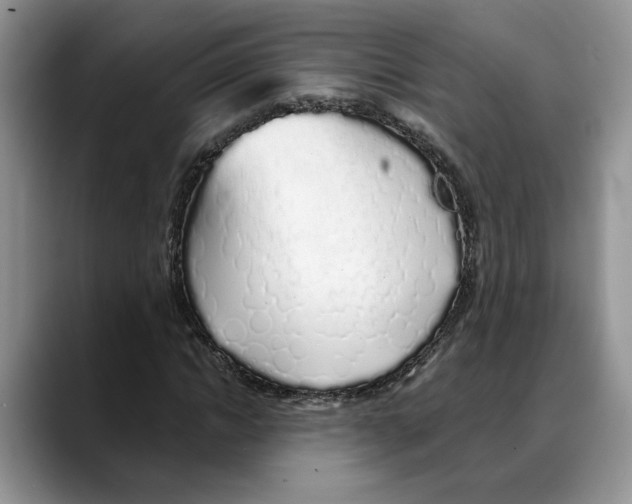 X0000088020822200706081439