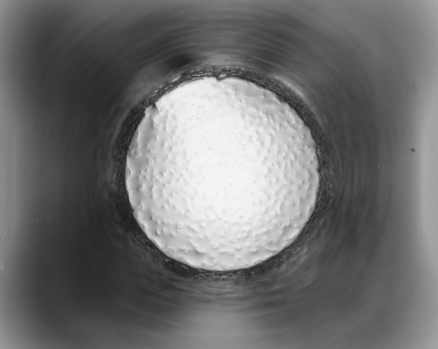 X0000088020823200706081439