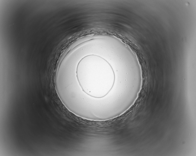 X0000088020824200706081439