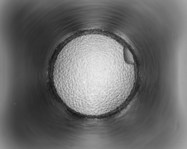 X0000088020826200706081439