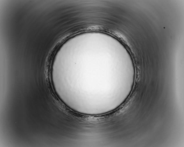 X0000088020827200706081439