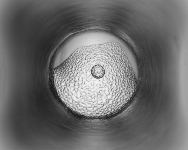X0000088020828200706081439