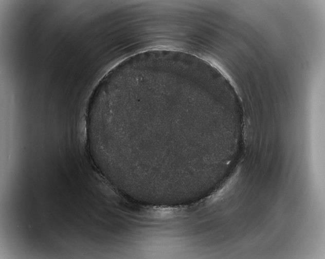 X0000088020829200706081439