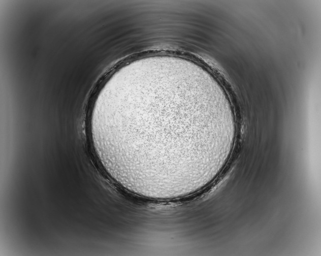 X0000088020830200706081439