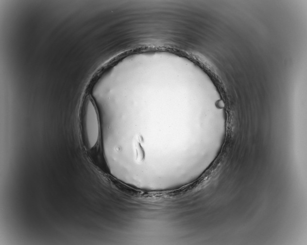 X0000088020831200706081439