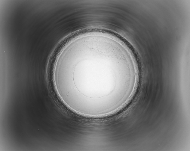X0000088020832200706081439