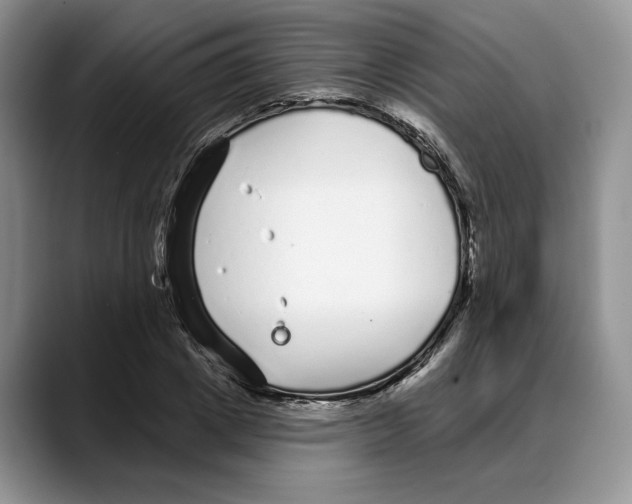 X0000088020833200706081439