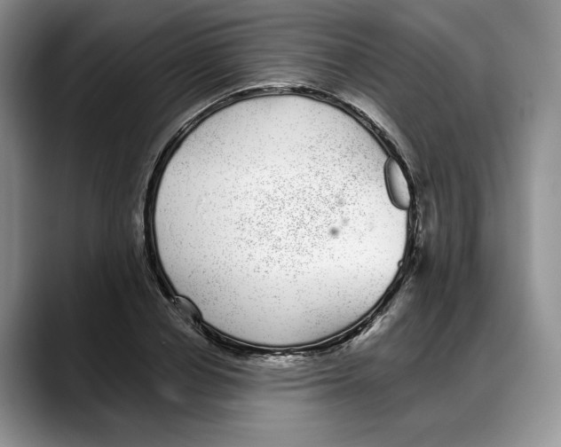 X0000088020834200706081439