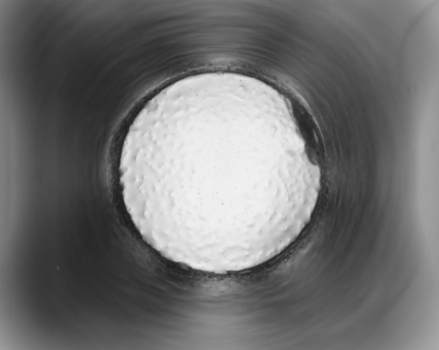 X0000088020835200706081439