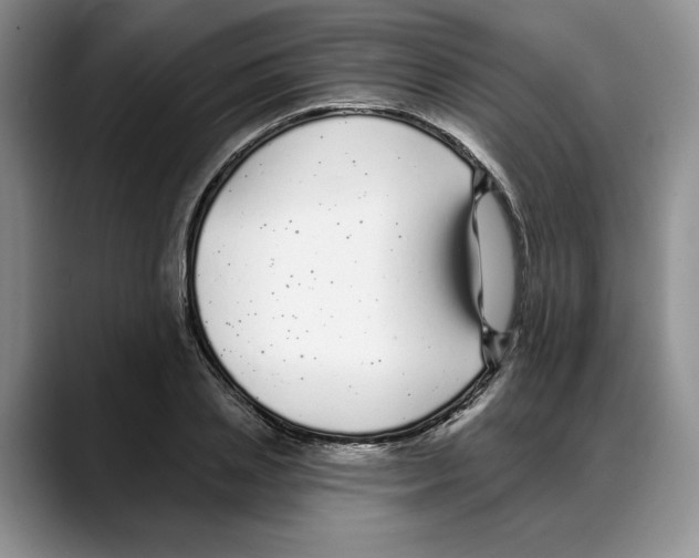 X0000088020837200706081439