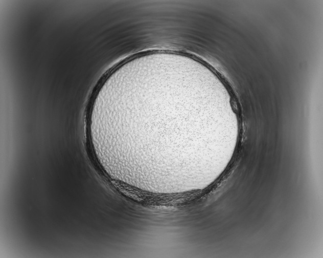 X0000088020838200706081440