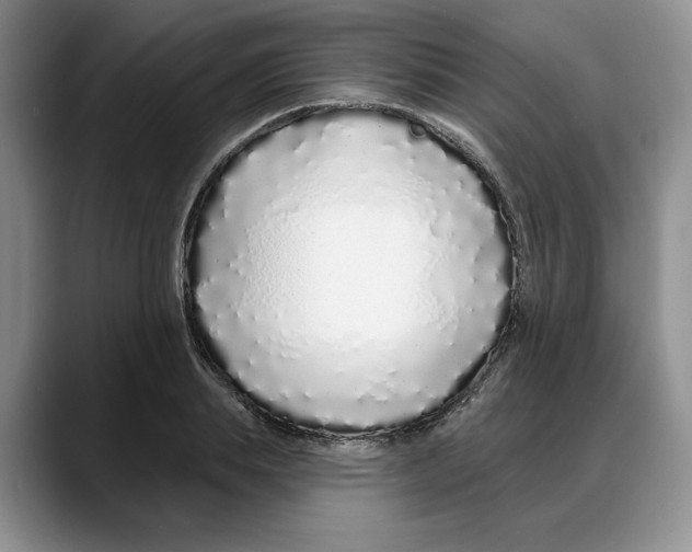 X0000088020839200706081440