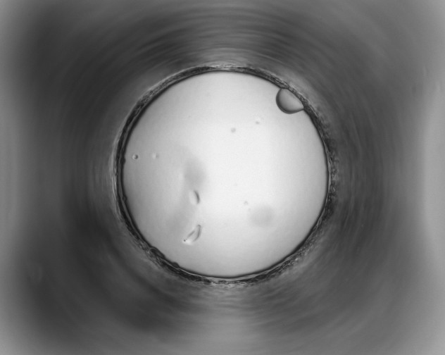 X0000088020840200706081440