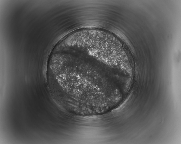 X0000088020842200706081440