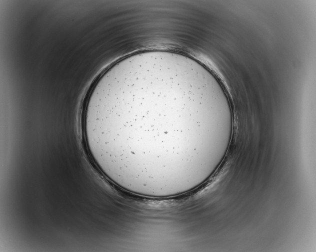 X0000088020843200706081440