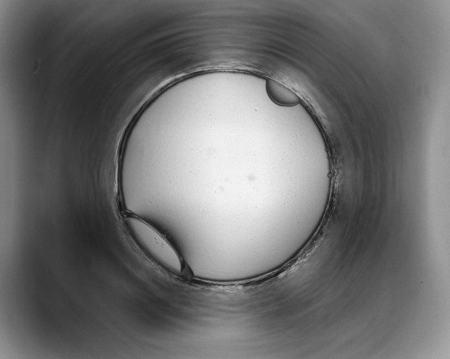 X0000088020844200706081440