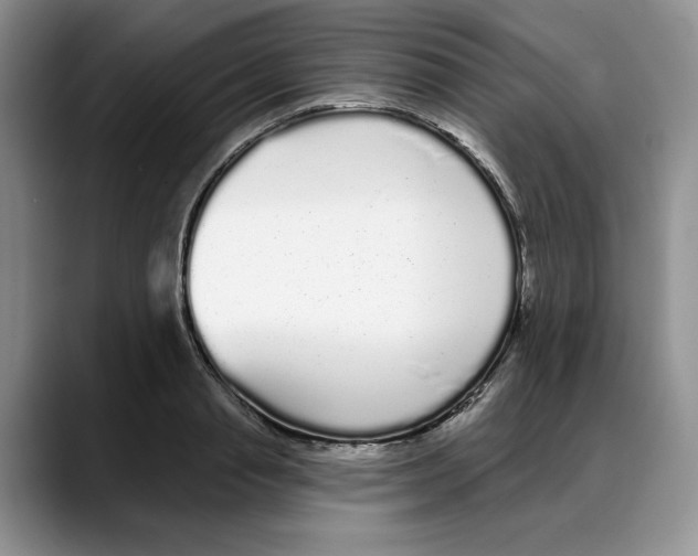 X0000088020845200706081440