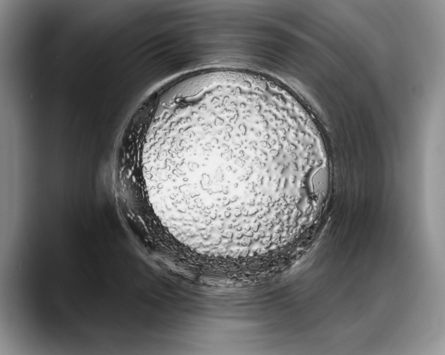 X0000088020846200706081440