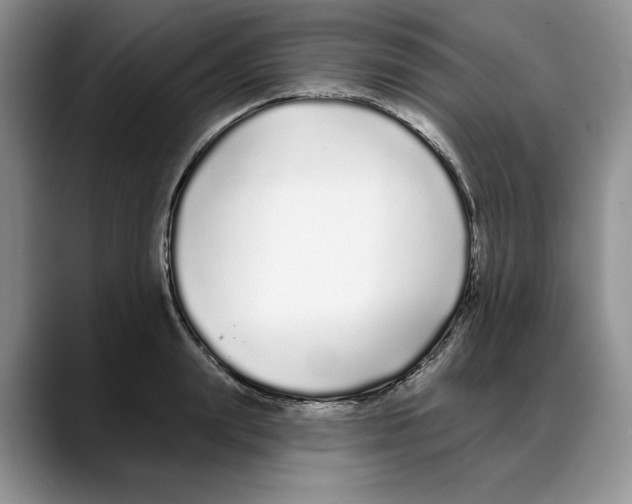 X0000088020847200706081440
