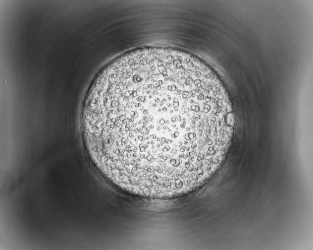 X0000088020848200706081440