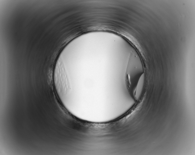 X0000088020849200706081440